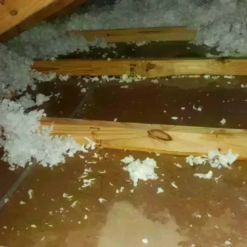 Attic Water Damage in Big Lake, AK