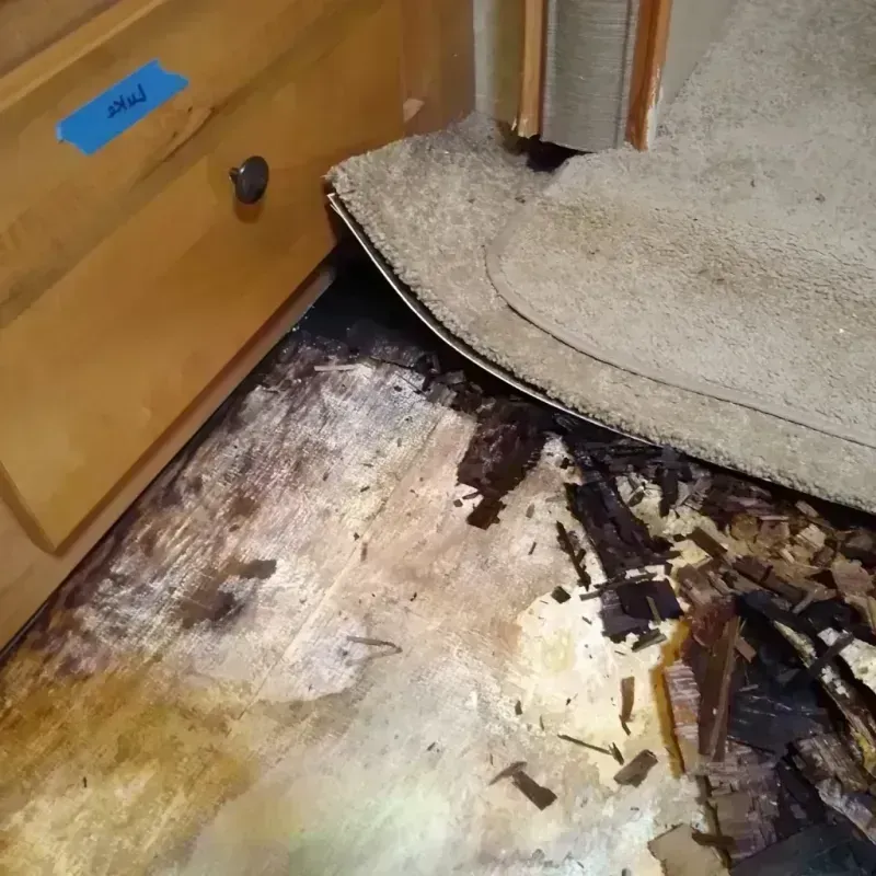 Wood Floor Water Damage in Big Lake, AK